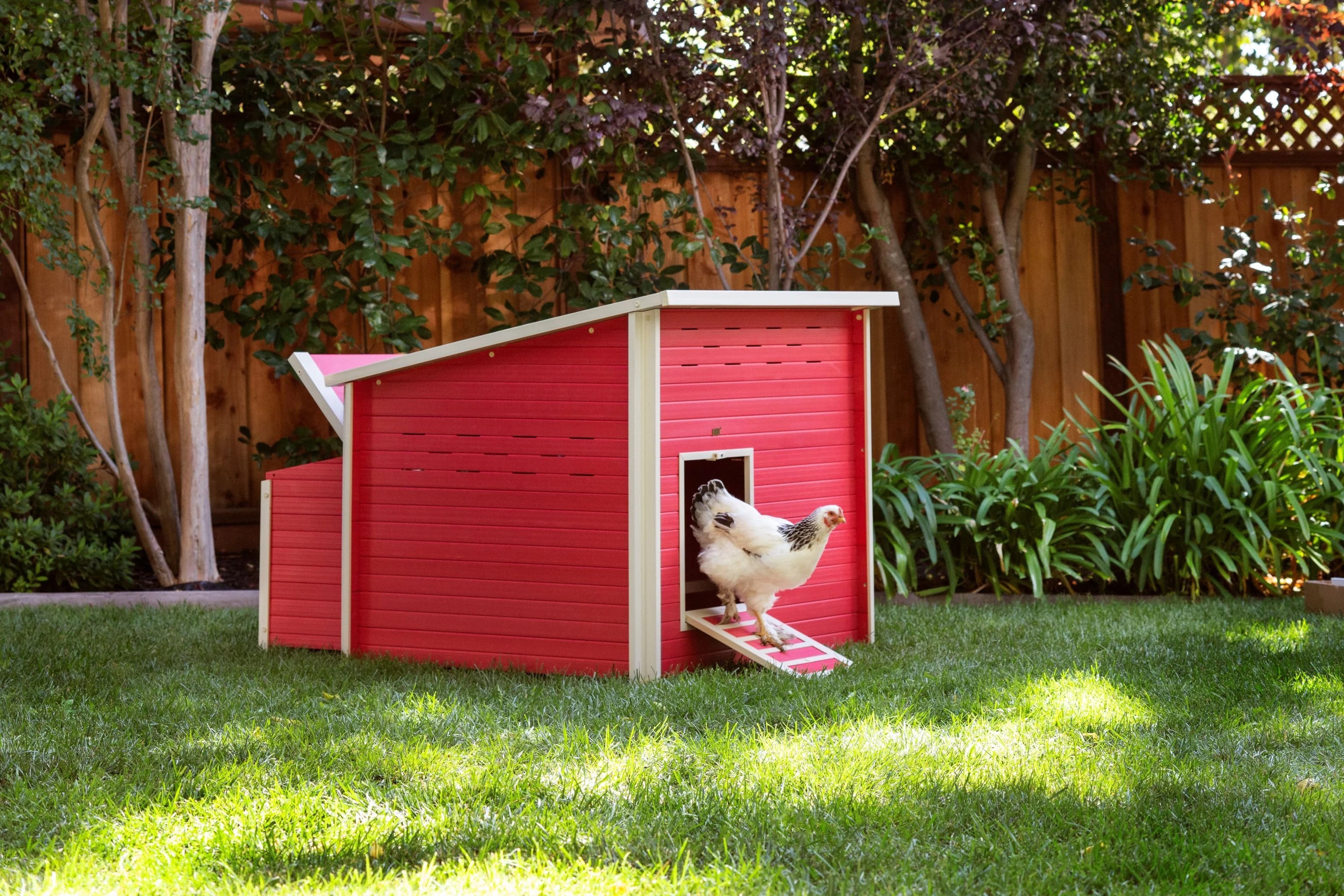 New Age Pet ecoFLEX Jumbo Fontana Chicken Barn, Red
