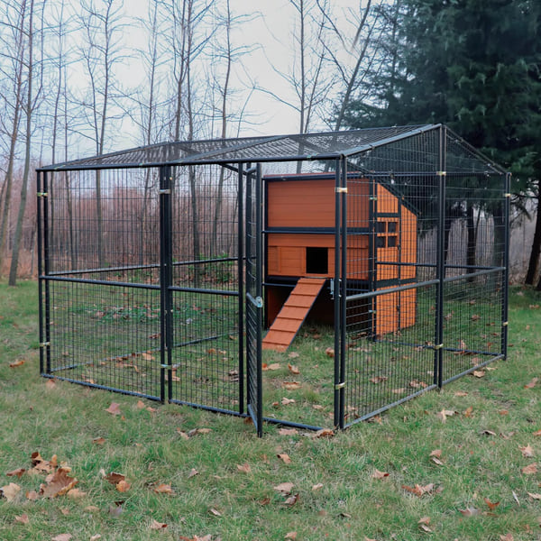 Producer's Pride Defender Extra-Large Chicken Coop, 18 Chicken Roosting Capacity