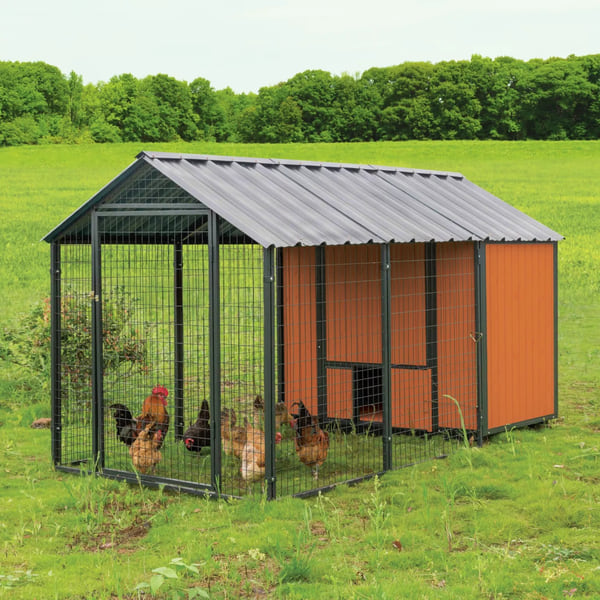 Producer's Pride Guardian Chicken Coop, 14 Chicken Roosting Capacity