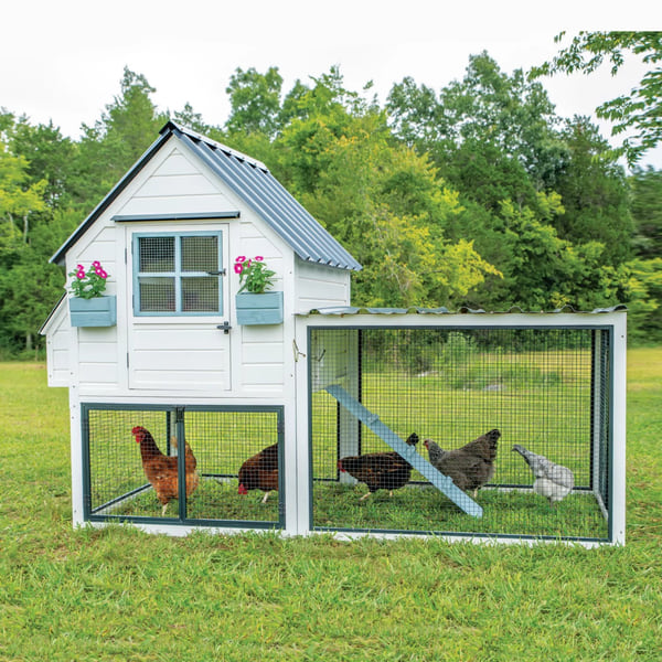 Producer's Pride Villa Chicken Coop, 12 Chicken Roosting Capacity