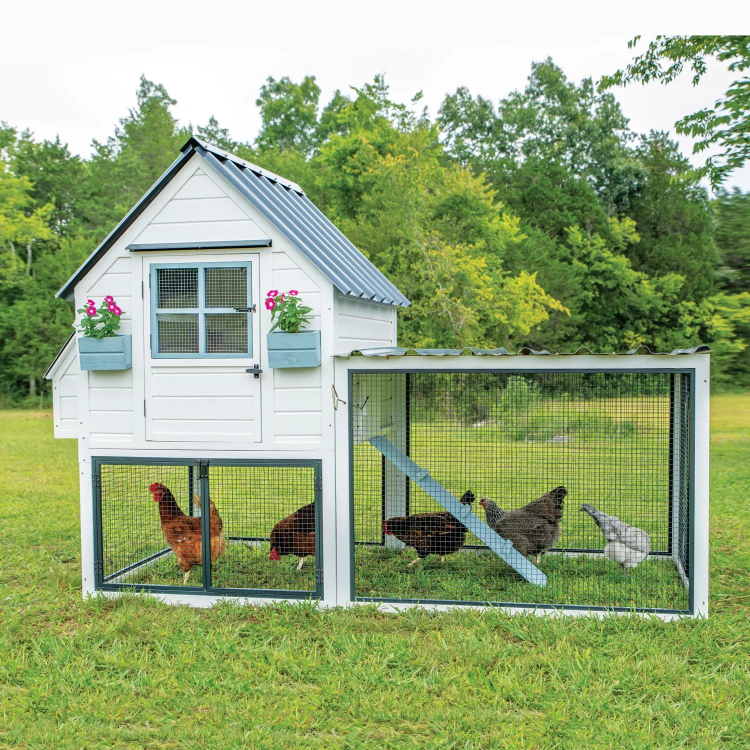 Producer's Pride Villa Chicken Coop, 12 Chicken Roosting Capacity